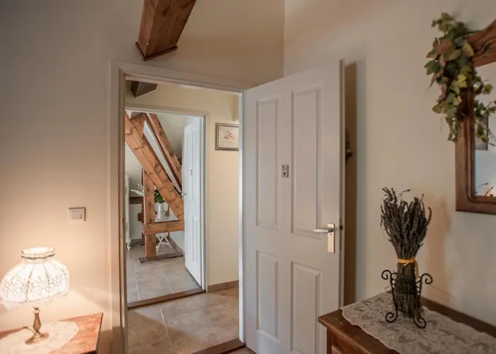 Дом отдыха Dorade *